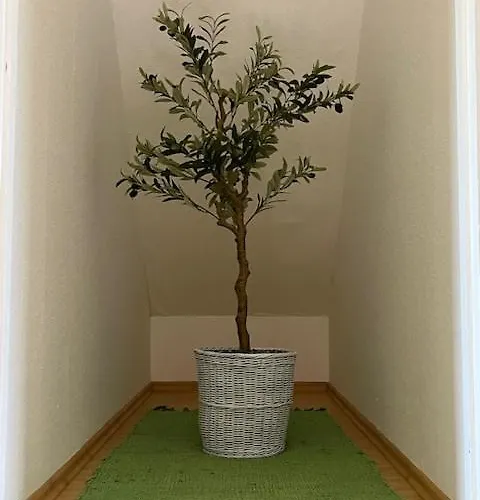 דירה Casa Oliva *